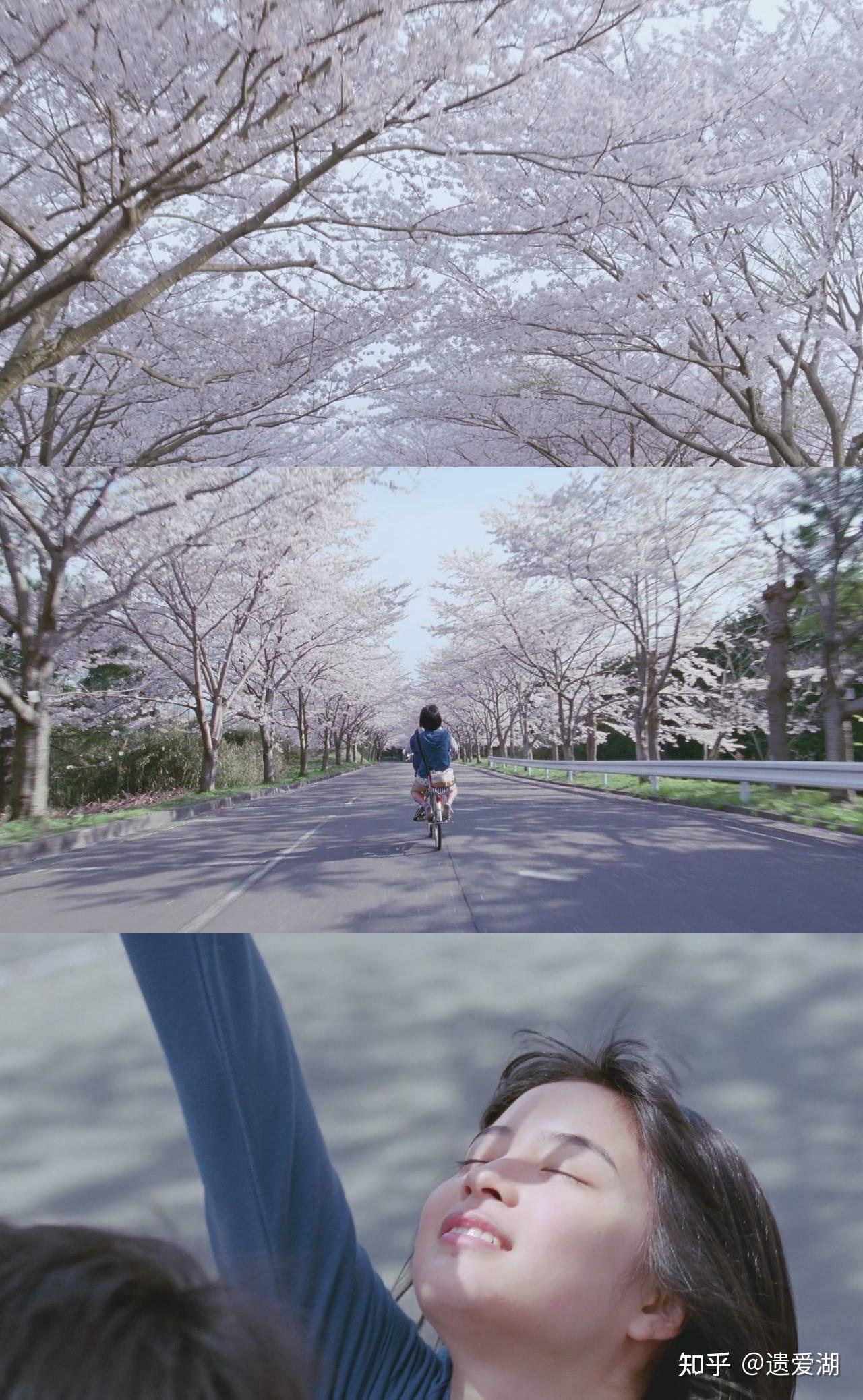 《海街日记》不需要男人的女孩天堂!