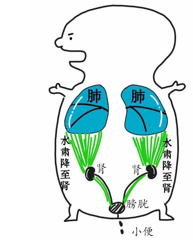 千古化痰第一方,经常吐白痰的,用它很快就能消痰! - 知乎