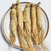 人参的吃法及禁忌有哪些 人参的吃法与作用分享给大家 知乎