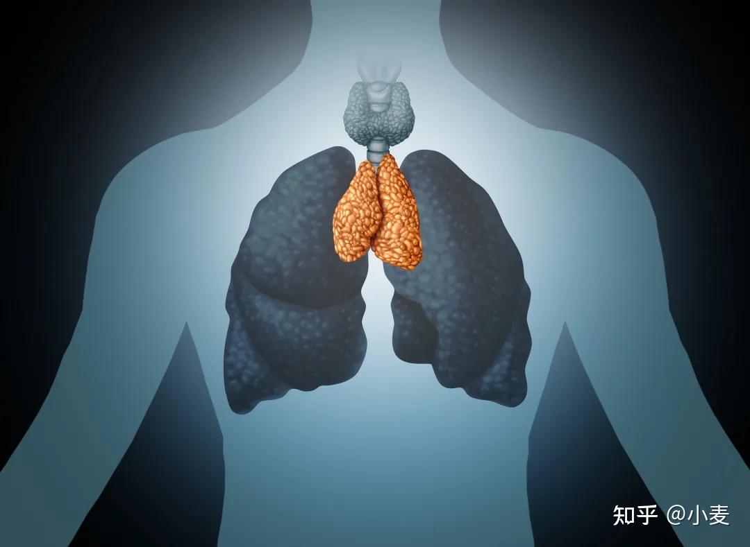 麦迪森健康科普什么是炭疽病感染炭疽病后都有哪些症状