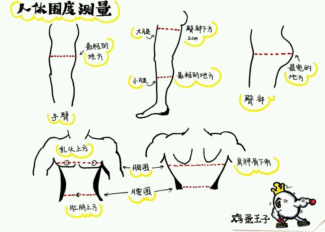 女生身材围度计算表自用