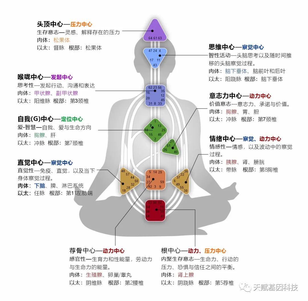 人类图免费 在线测试图片