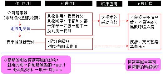 琥珀胆碱 去极化图片