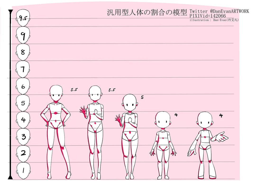 初學者必備繪畫的人體比例知識點彙總收藏起來慢慢看