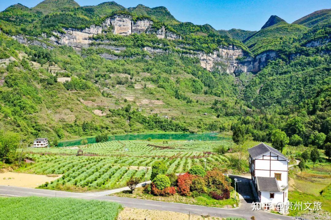 亲身体验过和溪镇水田坝你才能真正感受春天