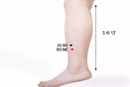 用好了阳辅穴调理胃病就成功了一半