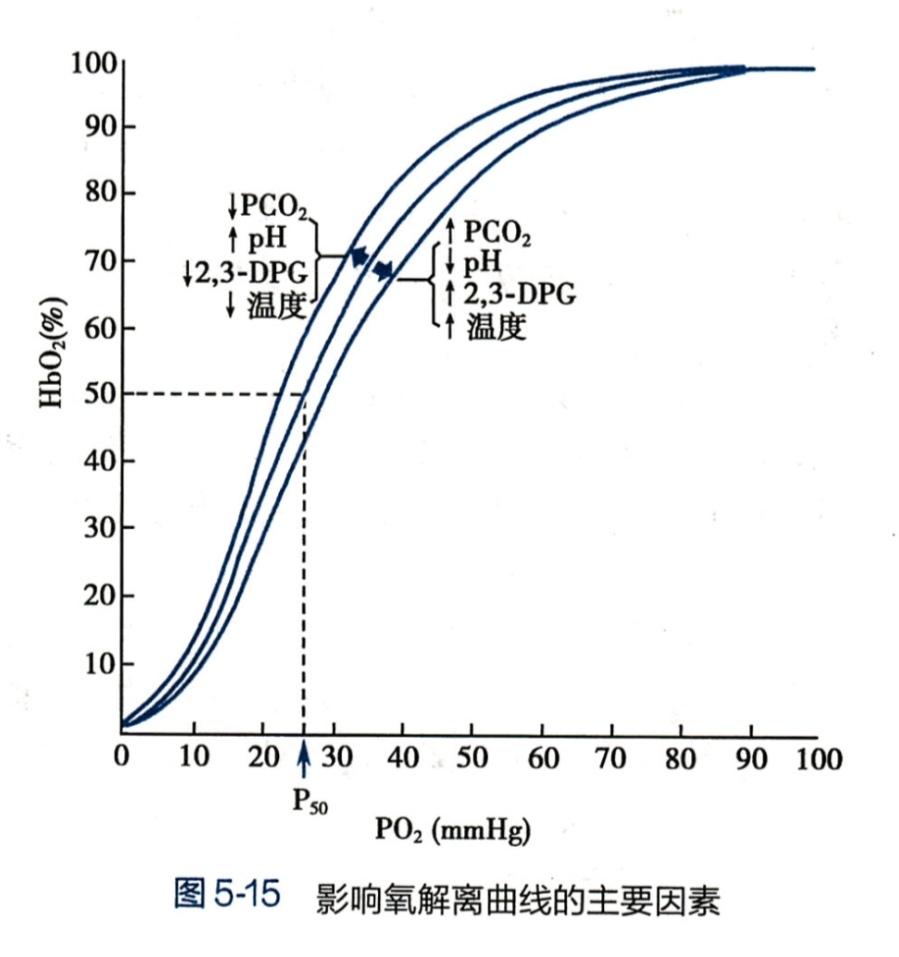 o60 →hbco量↑ →hbo60量↓→动脉中, hb的氧含量和氧容量均下降