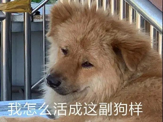 120张万能的表情包推荐-万能表情图片大全