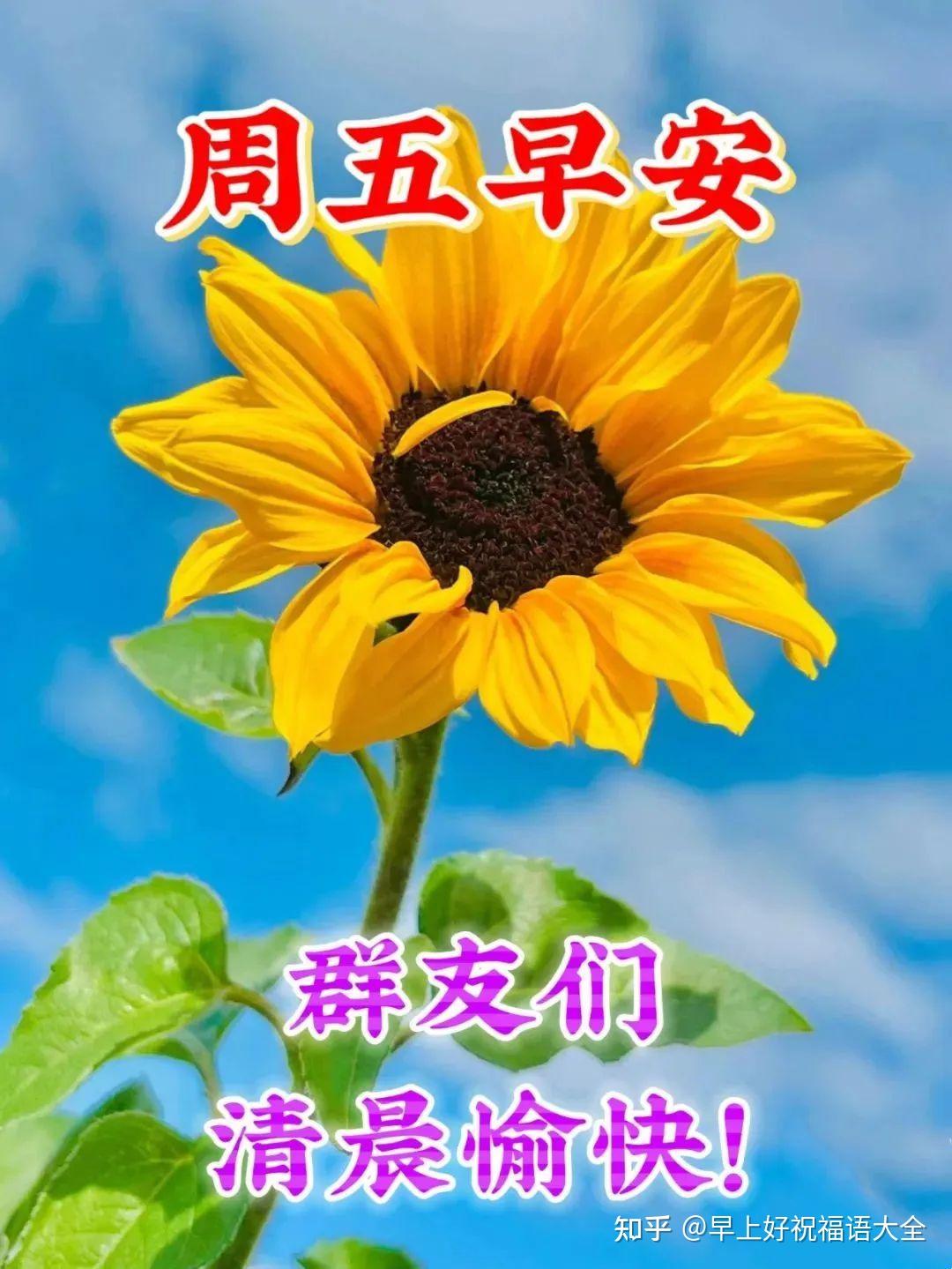 8月25日周五早上好,唯美祝福语图片带字 - 知乎