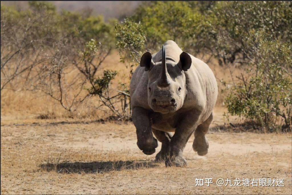 财迷俄国各阶层该如何预防和应对俄乌战争这类灰犀牛事件
