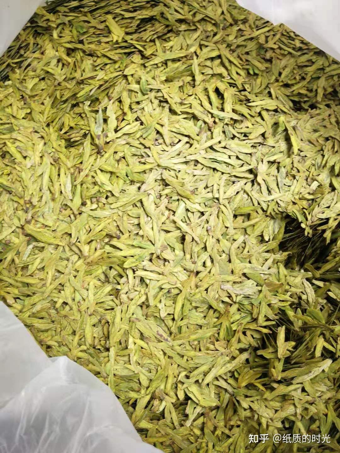 龙井43来啦 - 知乎
