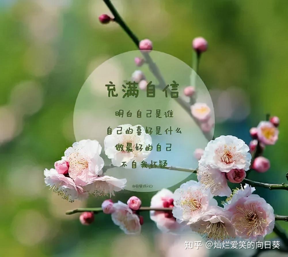 完善人格一本审视自我剖析自我完善自我的书