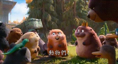 《河狸变身计划》豆瓣7.4！皮克斯新片笑到岔气