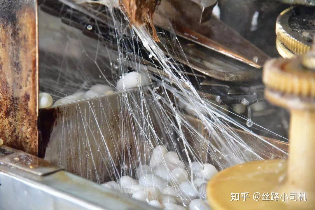 注意！！很多人一定不知道，它居然也是非物质文化遗产？！ - 知乎