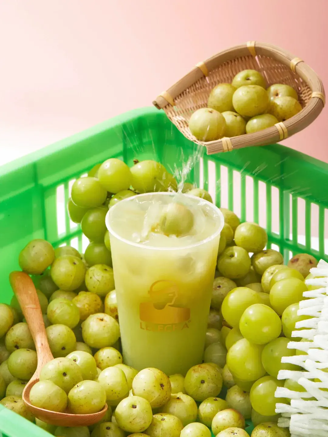 乐乐茶官方小红书(蓝天酪酪)  图源 | 乐乐茶官方小红书(牛油果生椰