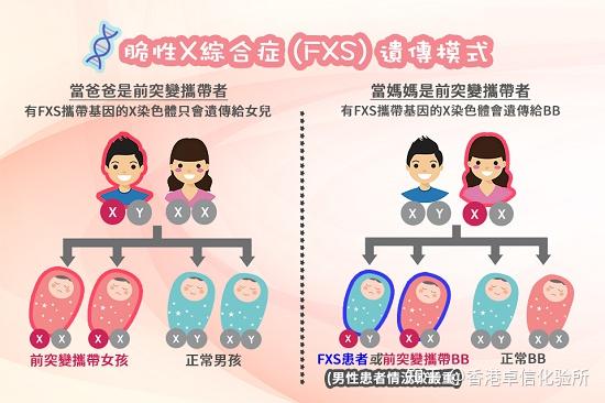 什么是脆性x染色体综合征? - 知乎
