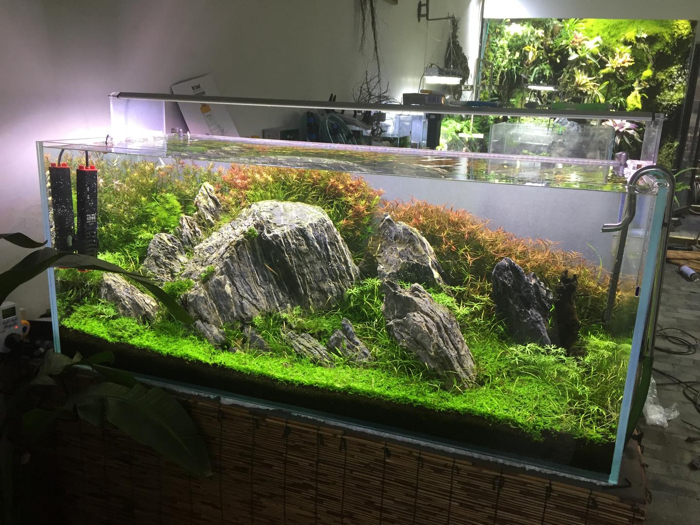 植来植趣分享鱼缸换水方法 长沙朋友们你做对了吗 知乎 植来植趣分享鱼缸换水方法 长沙朋友们你做对了吗 知乎