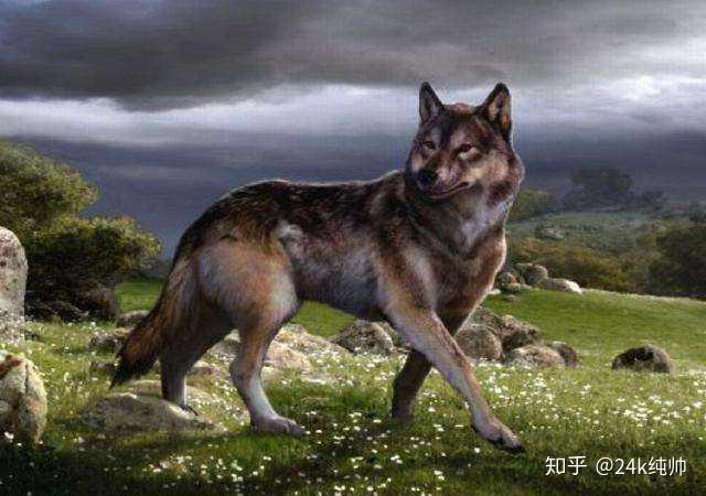 生命诞生以来各时代霸主集合 - 知乎