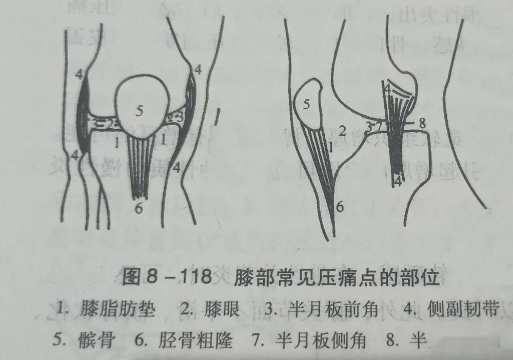 膝部体格检查实用版