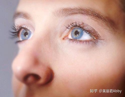 v2-609c6a1b8de911d6010395fa18be9179_r.jpg