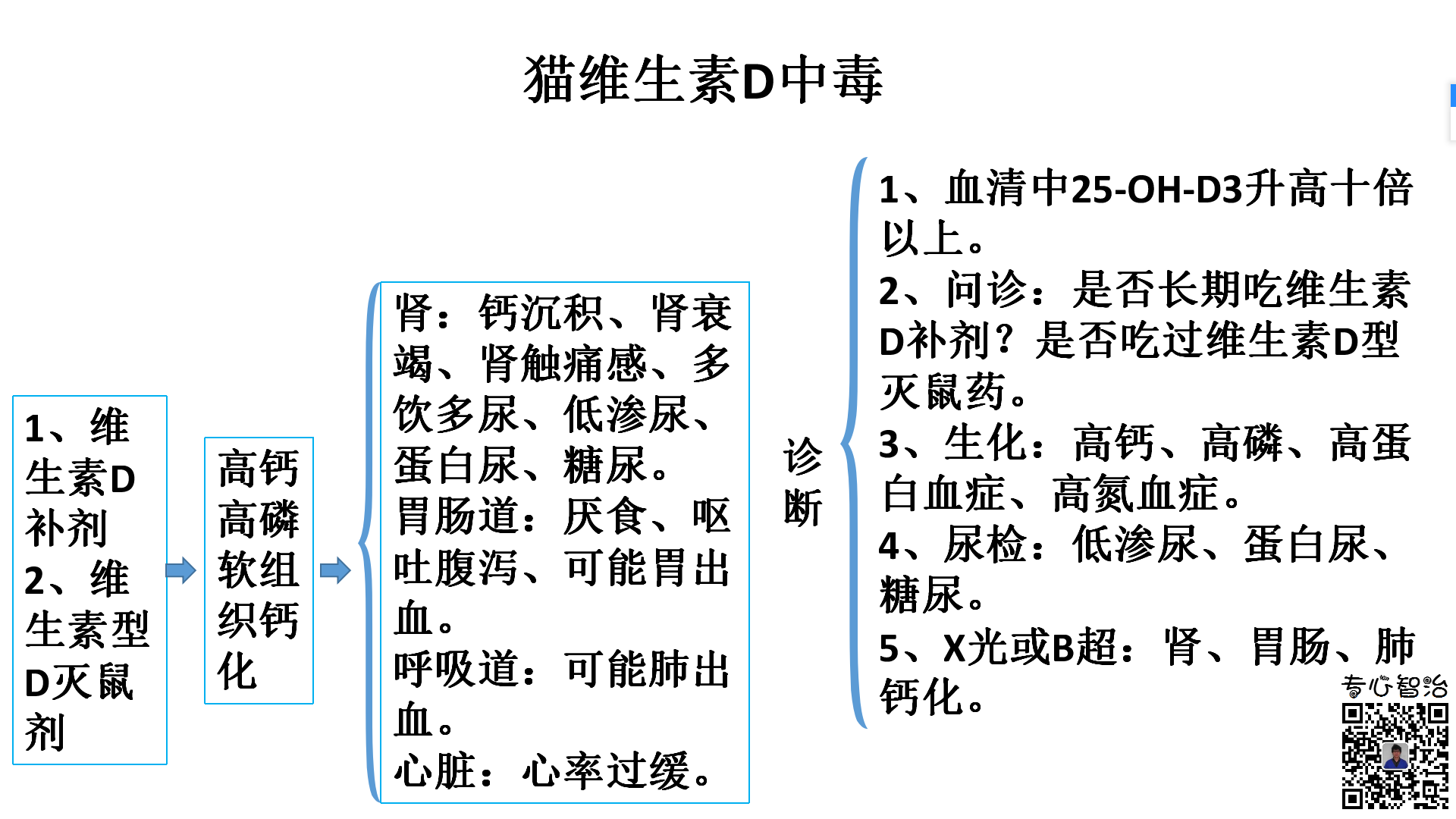 猫维生素d中毒10