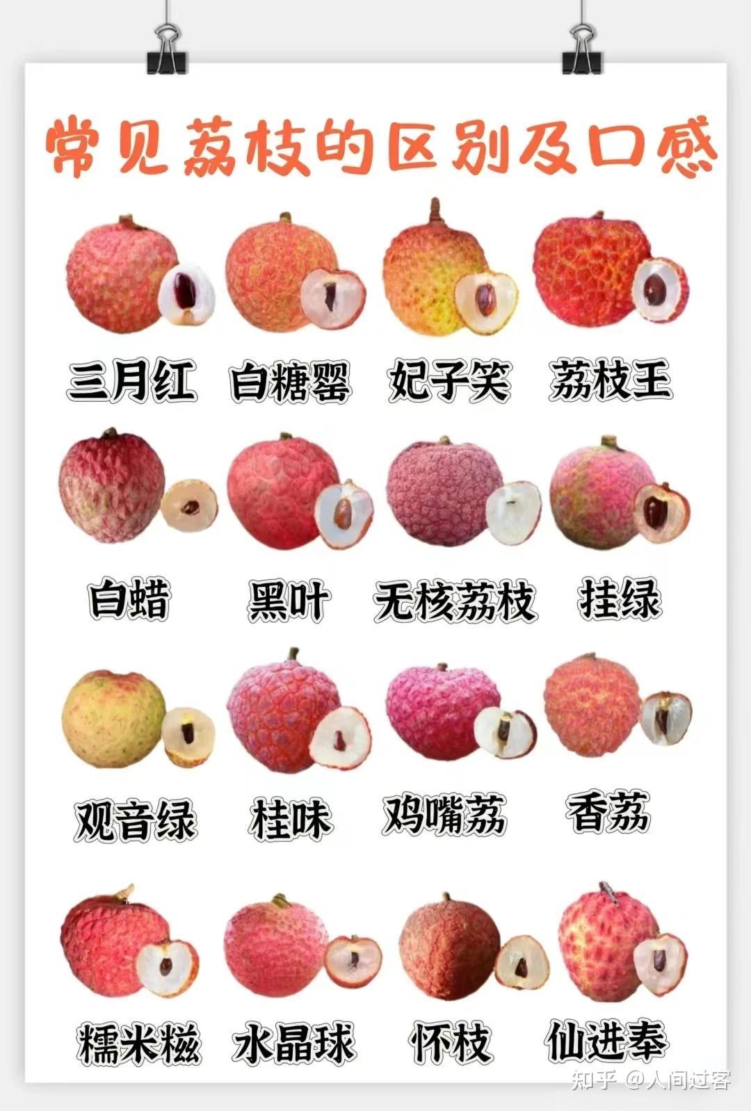又到了吃荔枝的季节,荔枝都有哪些种类?哪种口味最好吃?常见荔枝品种有哪些特点?不同品种的荔枝有什么差异?如何预防吃荔枝上火?荔枝不宜与哪些食物 ...