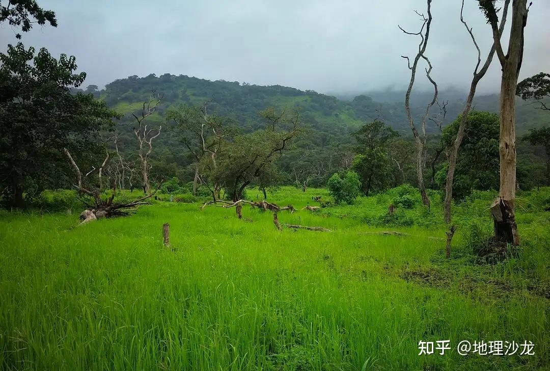 非洲最大的高原图片