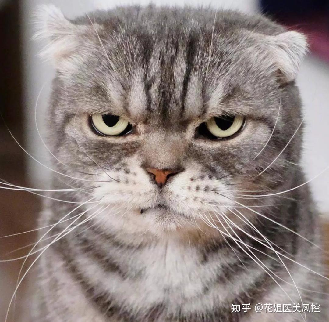 由图可知她本身就是单眼皮横向眼裂较开,竖向较窄但如果按照传统的