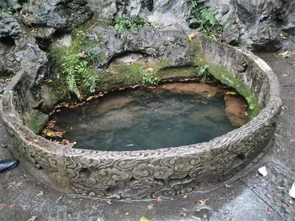 千年龙井旧事之探寻江南文化