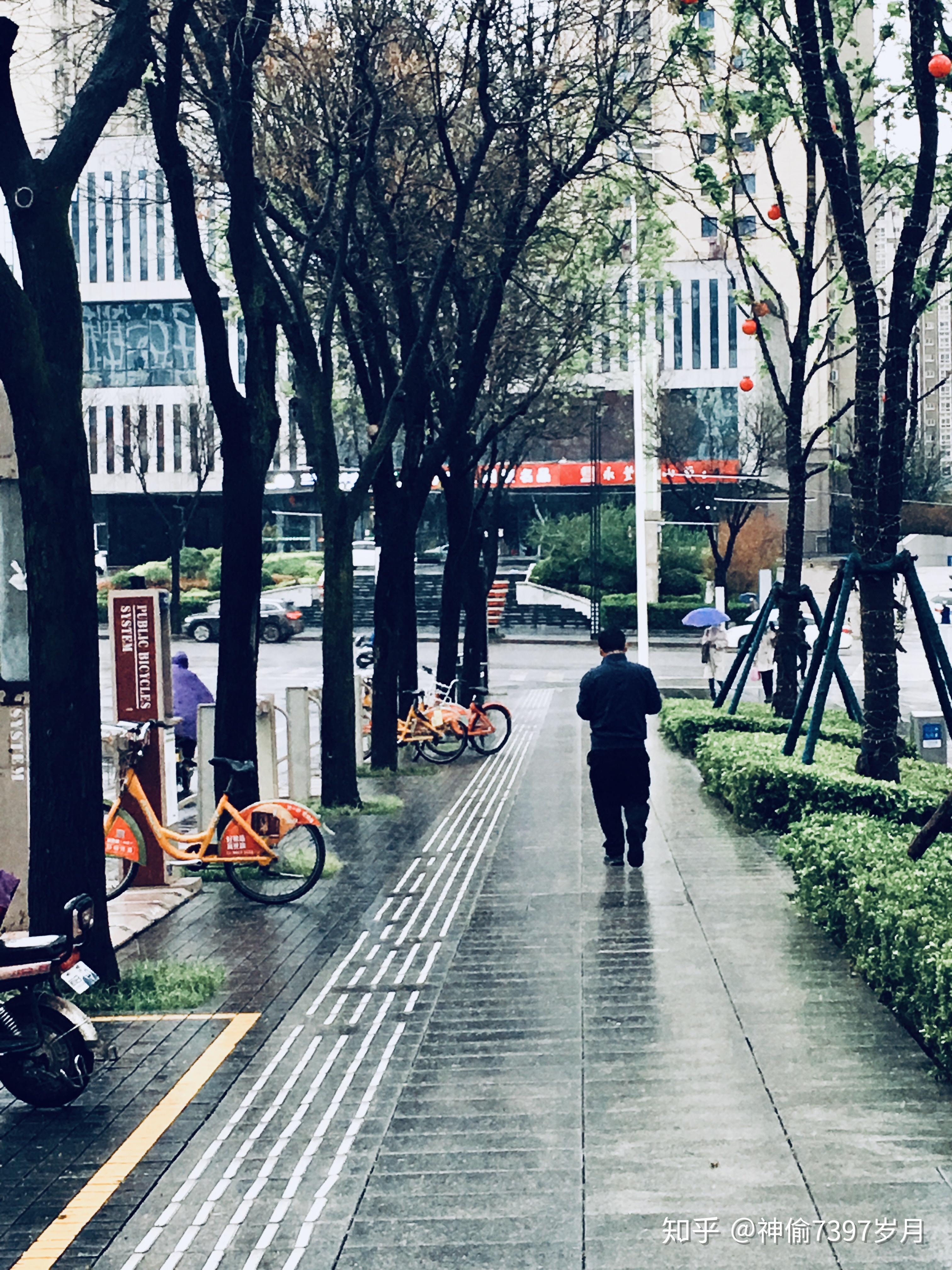 雨中行走