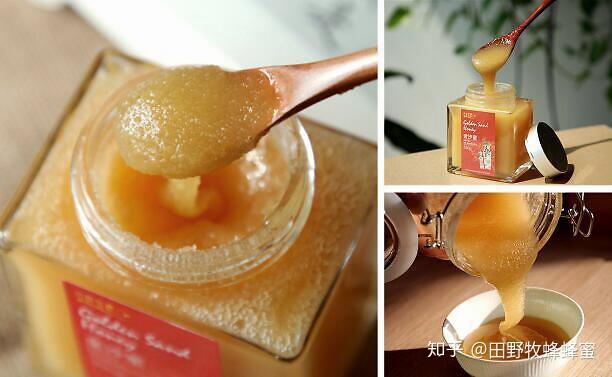 蜂蜜与海参能同时吃吗蜂蜜海参的功效与作用