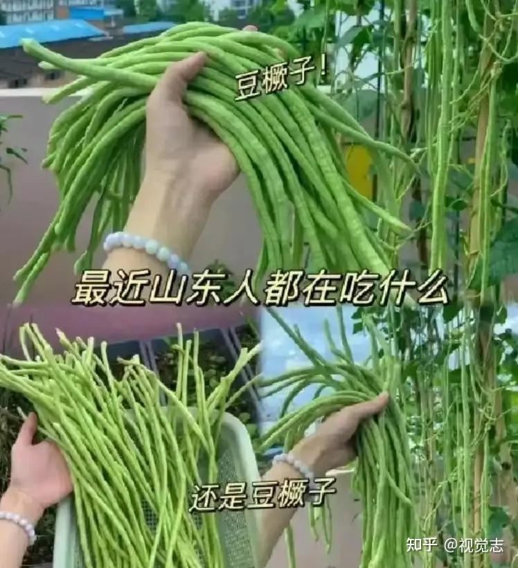 全国第一豆橛子大省:吃到崩溃,无路可退 - 知乎