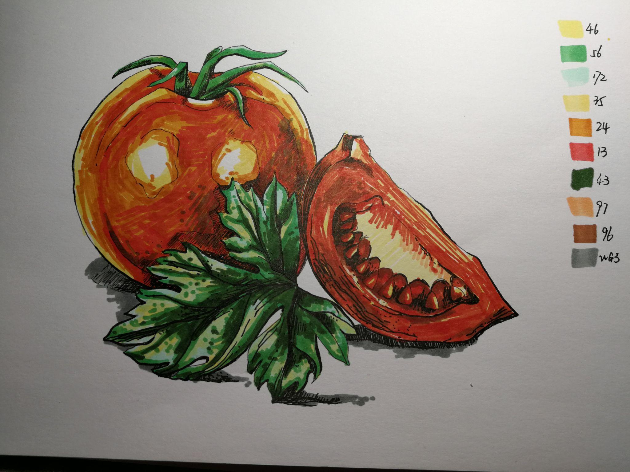 [马克笔手绘涂鸦100]no.1我爱西红柿 - 知乎