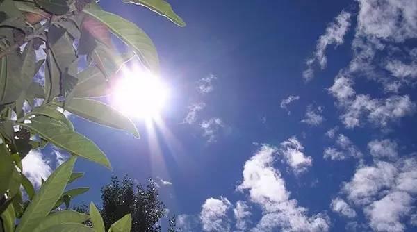 炎热酷暑当心肝损伤