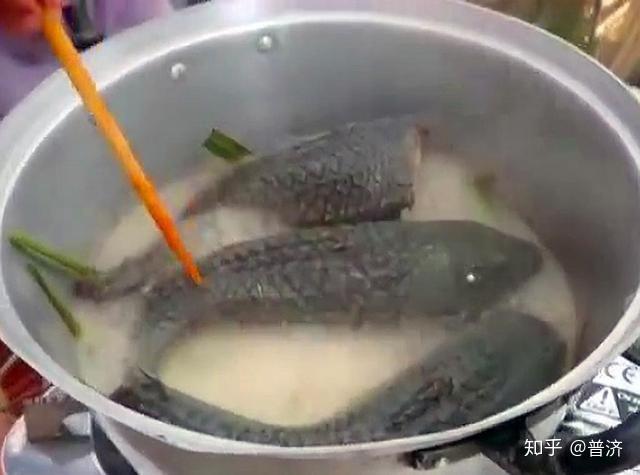 清道夫鱼的五种烹饪做法