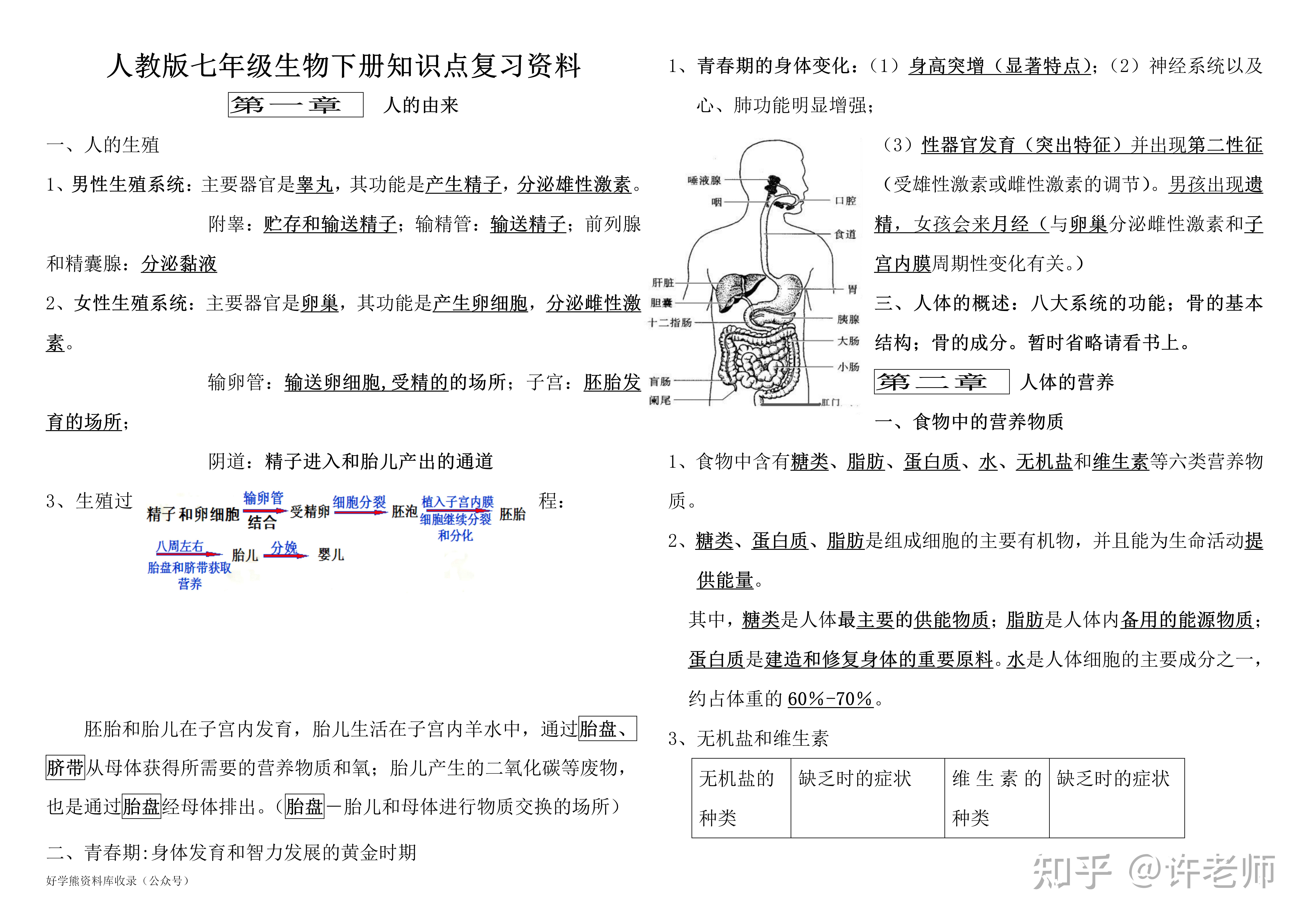 初中生物部编人教版七年级下册生物重要知识点总结