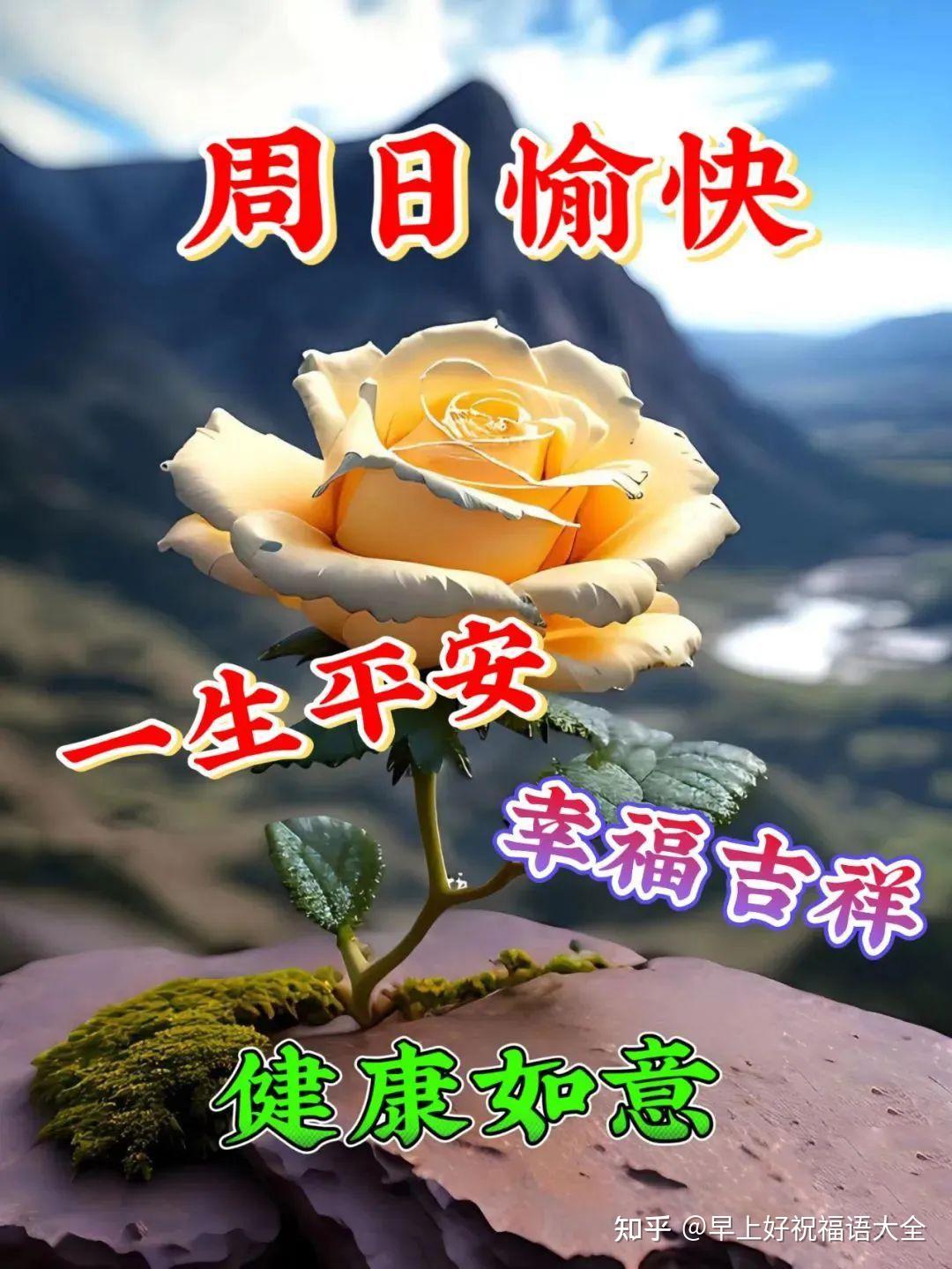 3月26日周日早上好周末愉快温馨祝福语图片 - 知乎