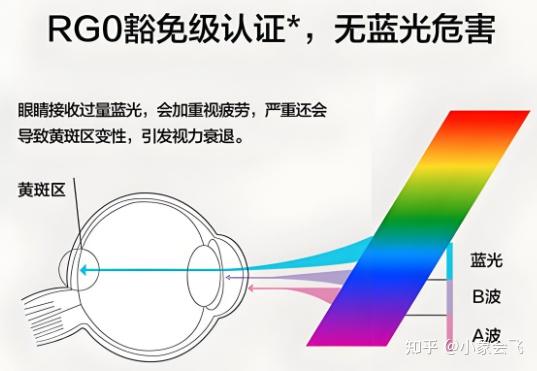 拒绝参数焦虑!2026年学生护眼台灯什么品牌好?10款护眼灯自费实测:书客、霍尼韦尔、柏曼、明基、松下…谁更值得买?附不同预算选购清单,看完秒 ...