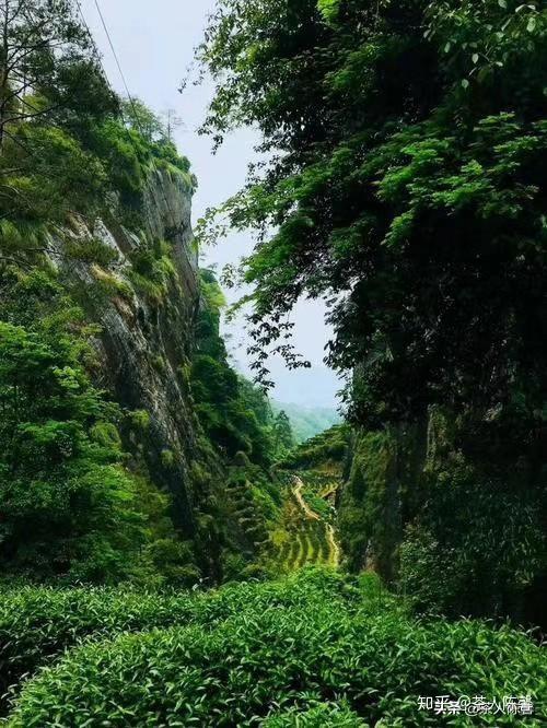 牛栏坑