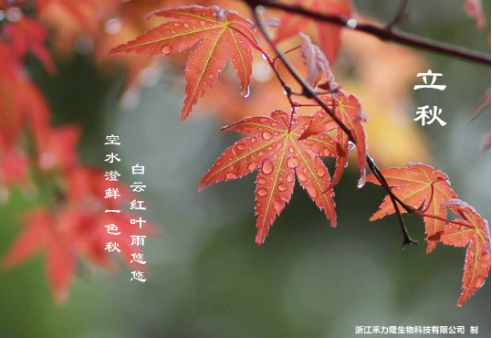 暑去凉来 养生攻略之立秋篇 请收好 知乎 暑去凉来 养生攻略之立秋篇 请收好 知乎