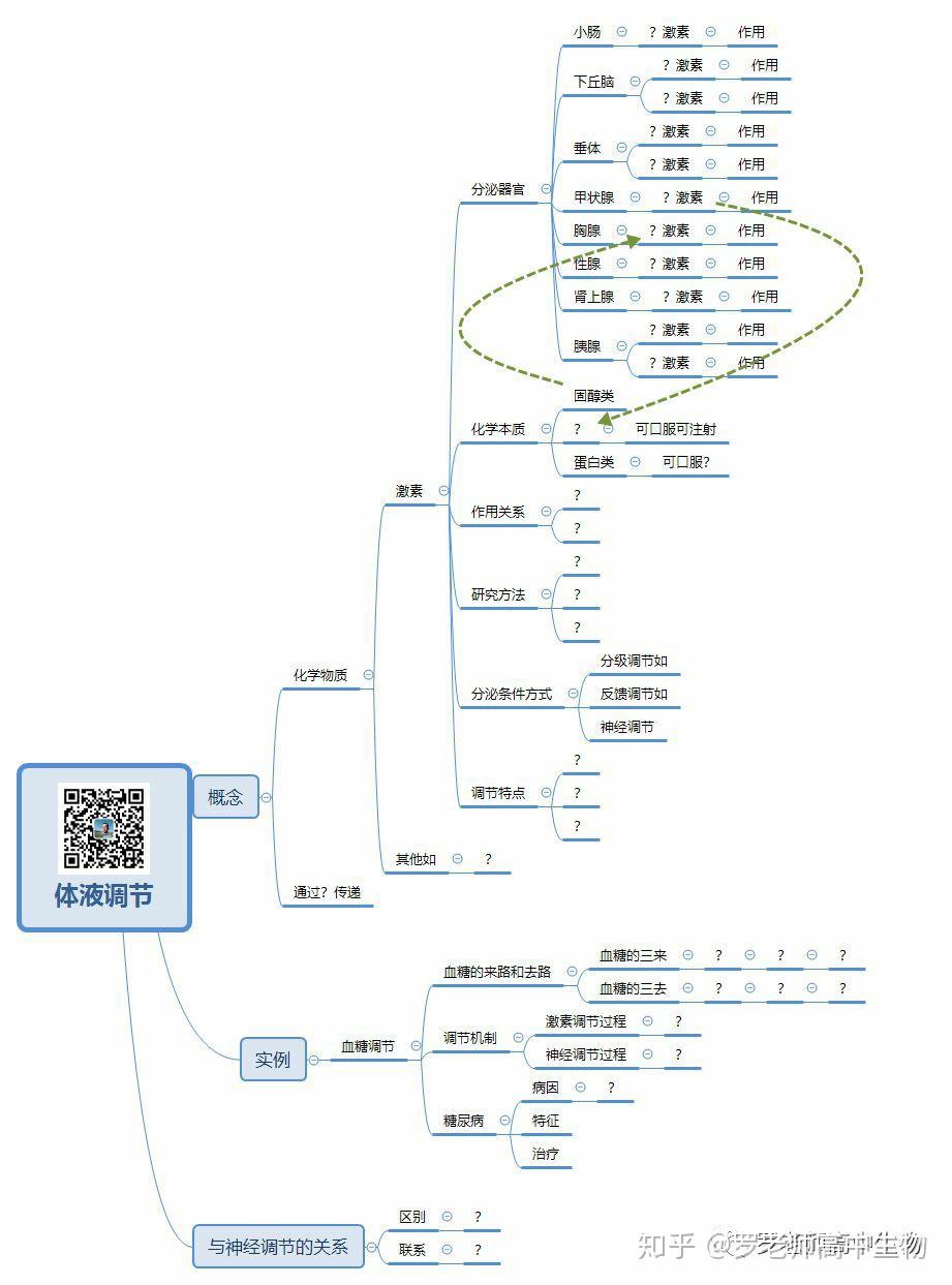 神經調節體液調節植物激素調節思維導圖