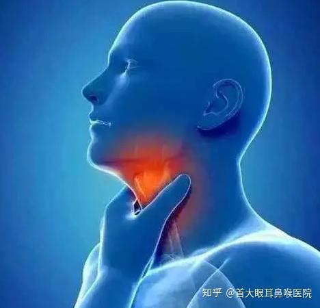 咽炎和喉炎的区别是什么？ - 知乎