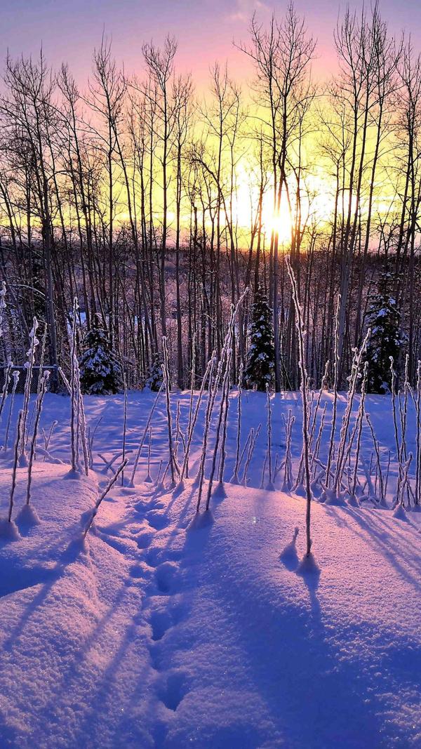 南国的冬季 知乎