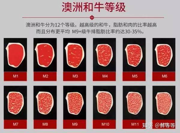 肉食者江湖之牛肉进阶