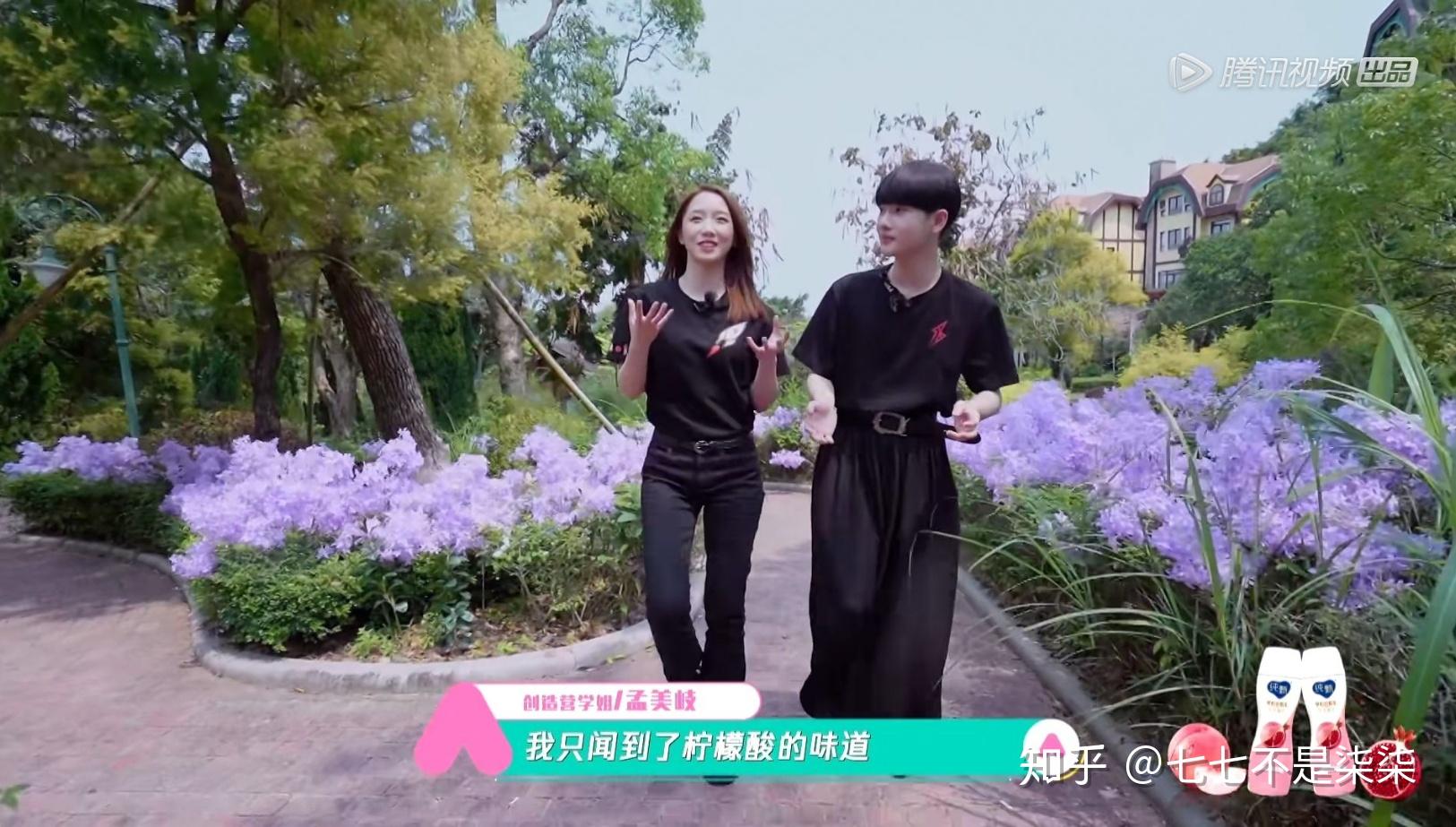 20孟美岐周震南走去宿舍那段路,的蓝色花是什么?