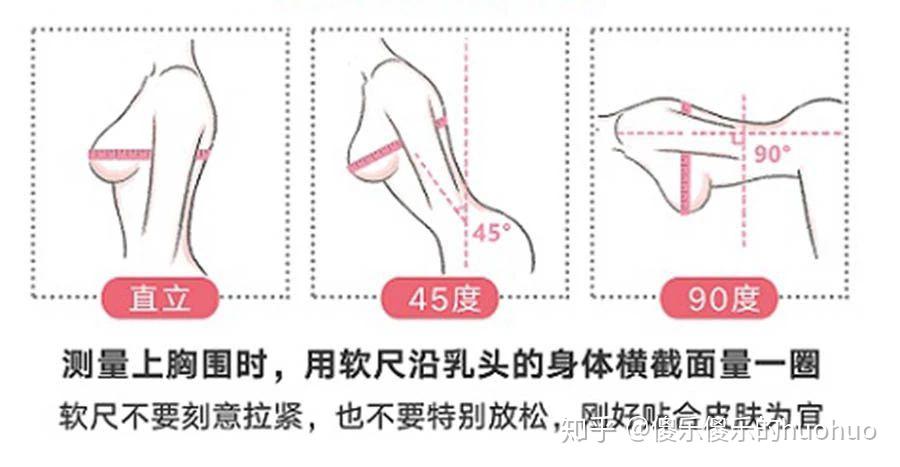 内衣最小码是多少_罩杯最小是多少(2)