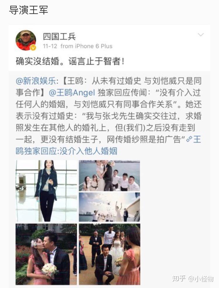 【真相】王鸥刘恺威"夜光剧本"系被恶意诬陷证据分析