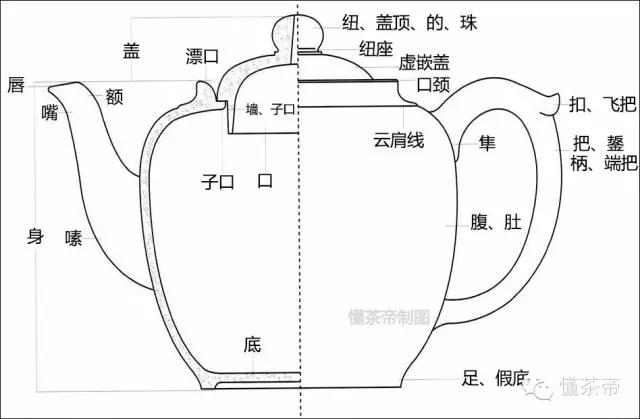 一组图看清茶壶的各个部位太全啦