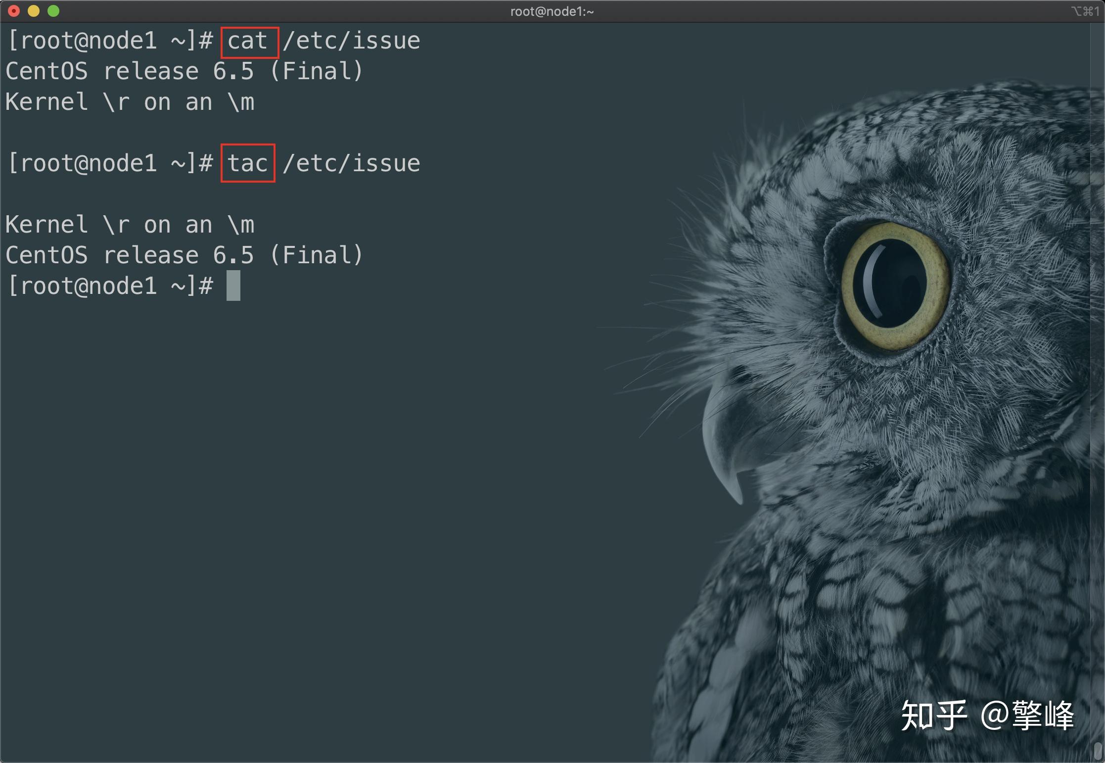 cat(concatenate):直接查看一个文件的内容可以使用cat,tac,nl命