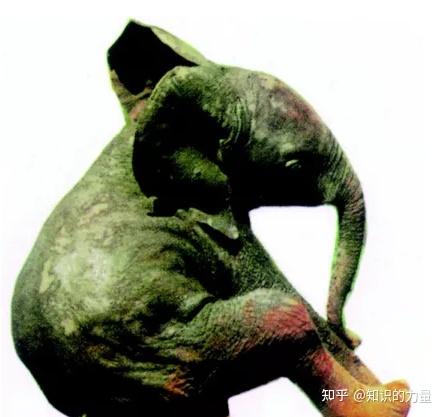 消失的动物:长毛象